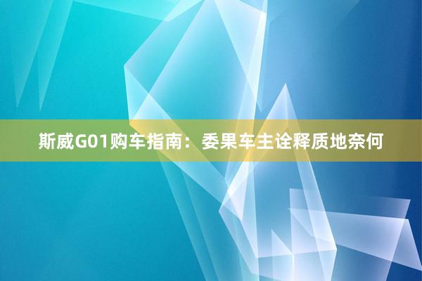 斯威G01购车指南：委果车主诠释质地奈何