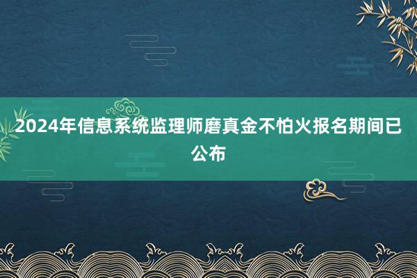 2024年信息系统监理师磨真金不怕火报名期间已公布