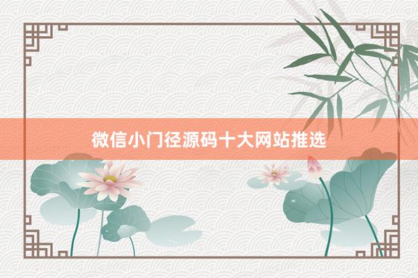 微信小门径源码十大网站推选