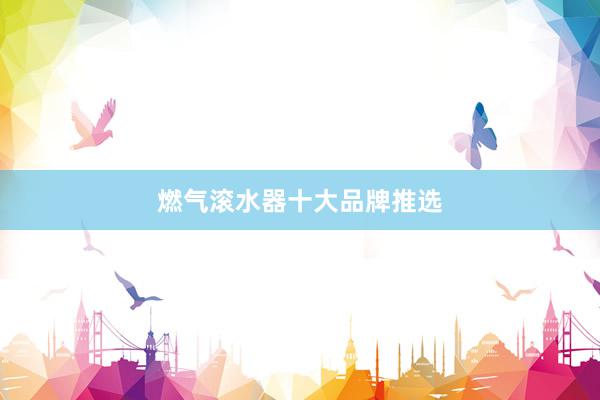 燃气滚水器十大品牌推选