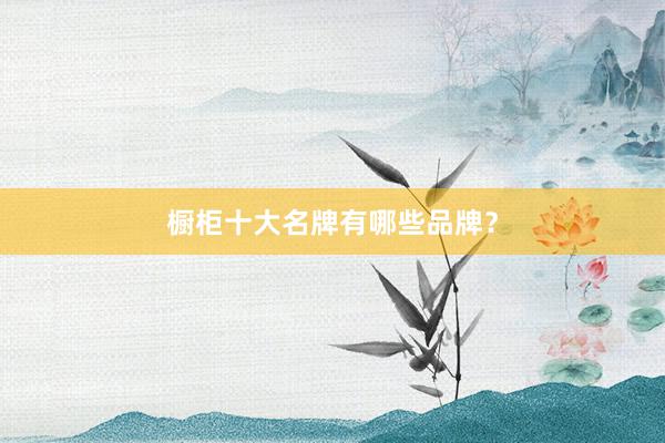 橱柜十大名牌有哪些品牌？